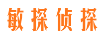 城厢市侦探公司